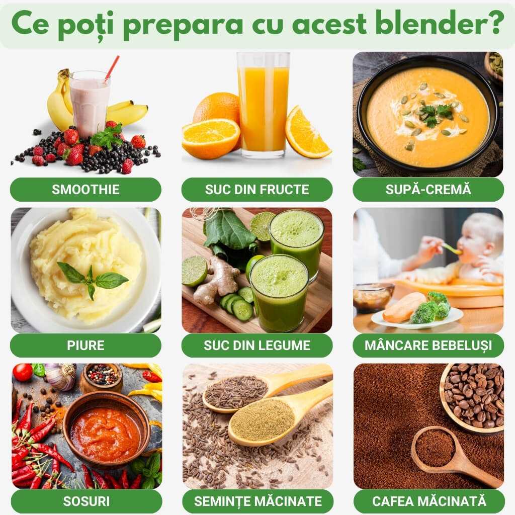 Blender Multifuncțional Royalty Line® 800W, Cană din Sticlă, 1.5 l